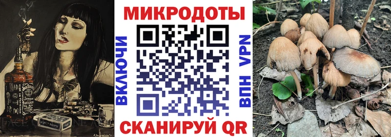 Галлюциногенные грибы Psilocybe цена наркотик Ярославль