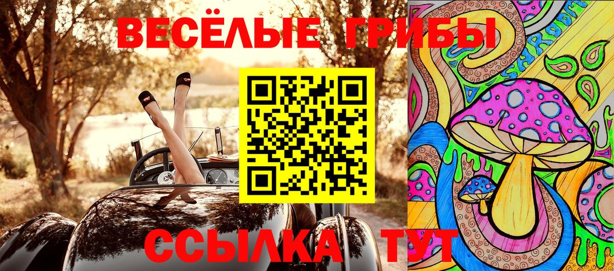 Псилоцибиновые грибы прущие грибы  Ярославль 