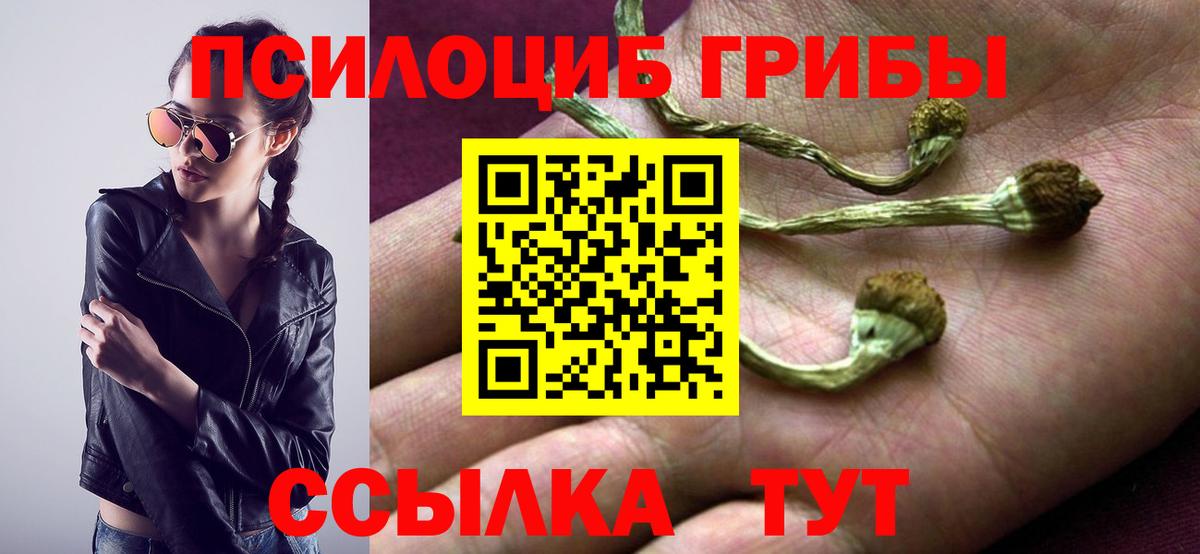 Галлюциногенные грибы Magic Shrooms  Вход с VPN  Ярославль 
