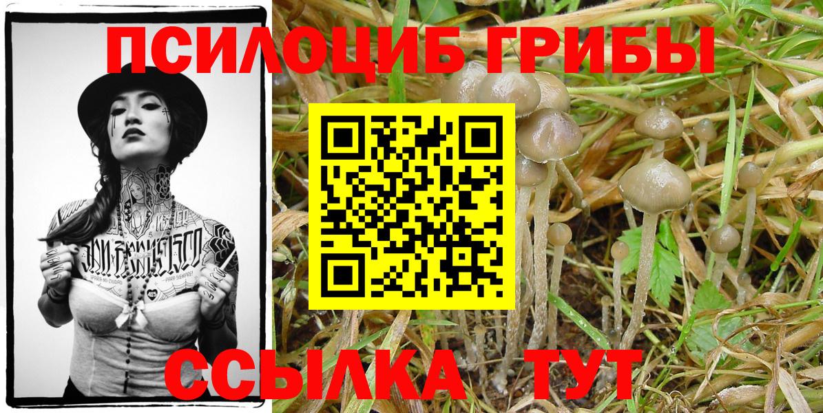 Псилоцибиновые грибы GOLDEN TEACHER Ярославль