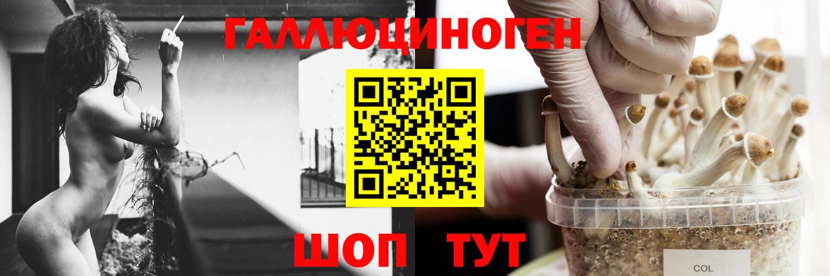 Галлюциногенные грибы MAGIC MUSHROOMS Ярославль