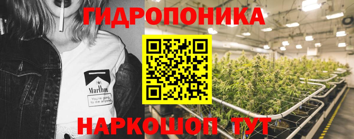 Шишки марихуана индика  Вход с VPN  МАРИХУАНА план  Ярославль  Канабис AK-47 
