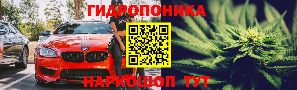 Конопля конопля  Шишки марихуана план  Ярославль  Каннабис VHQ  Шишки марихуана Amnesia 